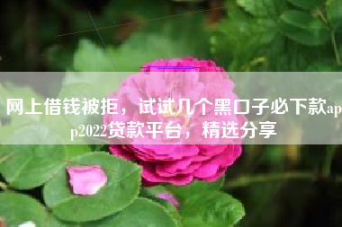 网上借钱被拒，试试几个黑口子必下款app2022贷款平台，精选分享