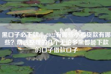 黑口子必下款app2022有哪些小额贷款有哪些？精选整理的几个无论多黑都能下款的口子借款口子