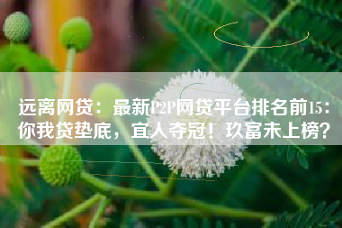 远离网贷：最新P2P网贷平台排名前15：你我贷垫底，宜人夺冠！玖富未上榜？