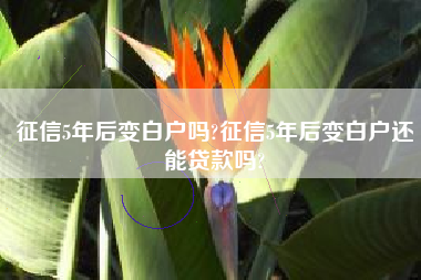 征信5年后变白户吗?征信5年后变白户还能贷款吗?