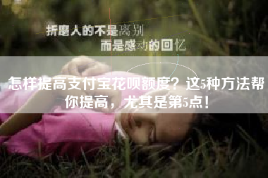 怎样提高支付宝花呗额度？这5种方法帮你提高，尤其是第5点！