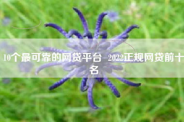 10个最可靠的网贷平台  2022正规网贷前十名