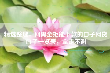 精选整理，网黑全拒能下款的口子网贷口子一览表，拿走不谢