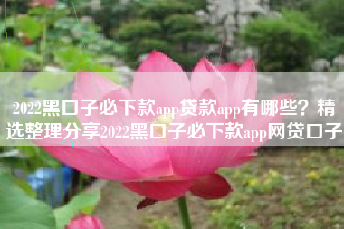 2022黑口子必下款app贷款app有哪些？精选整理分享2022黑口子必下款app网贷口子