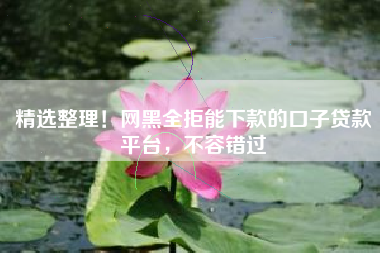 精选整理！网黑全拒能下款的口子贷款平台，不容错过