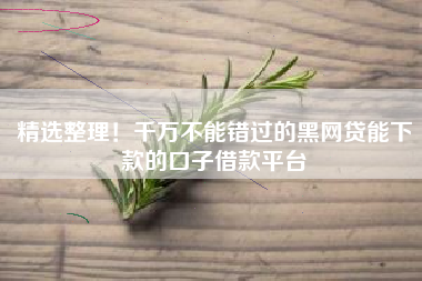 精选整理！千万不能错过的黑网贷能下款的口子借款平台