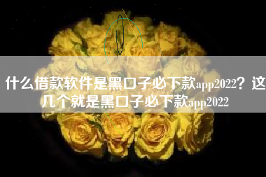 什么借款软件是黑口子必下款app2022？这几个就是黑口子必下款app2022