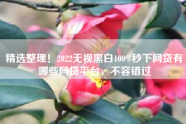 精选整理！2022无视黑白100%秒下网贷有哪些网贷平台，不容错过