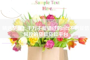 精选整理！千万不能错过的2022不看征信风控的贷款贷款平台