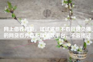 网上借钱被拒，试试这些不看征信负债的网贷百分百下款借款平台，不容错过