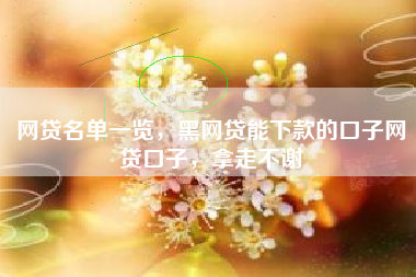 网贷名单一览，黑网贷能下款的口子网贷口子，拿走不谢