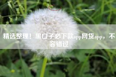 精选整理！黑口子必下款app网贷app，不容错过