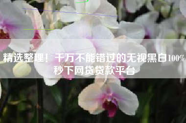 精选整理！千万不能错过的无视黑白100%秒下网贷贷款平台