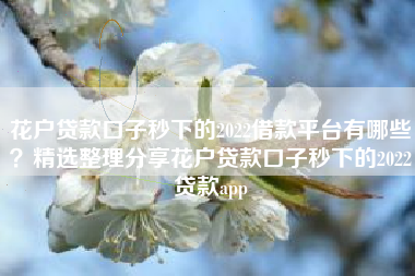 花户贷款口子秒下的2022借款平台有哪些？精选整理分享花户贷款口子秒下的2022贷款app