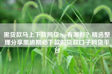 黑贷款马上下款网贷app有哪些？精选整理分享黑逾期必下款的贷款口子网贷平台
