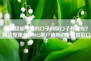 黑网贷能下款的口子网贷口子有哪些？精选整理分享2022黑户逾期必下款借款口子
