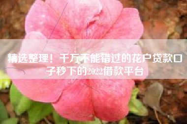 精选整理！千万不能错过的花户贷款口子秒下的2022借款平台