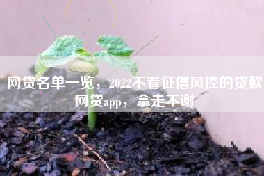 网贷名单一览，2022不看征信风控的贷款网贷app，拿走不谢