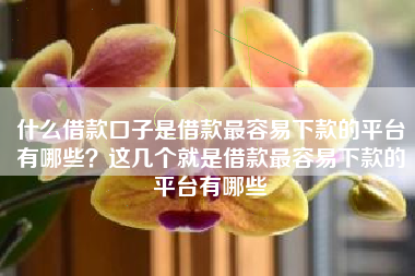 什么借款口子是借款最容易下款的平台有哪些？这几个就是借款最容易下款的平台有哪些