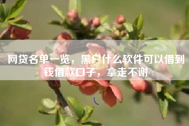 网贷名单一览，黑户什么软件可以借到钱借款口子，拿走不谢