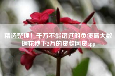 精选整理！千万不能错过的负债高大数据花秒下2万的贷款网贷app