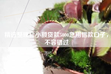 精选整理！小额贷款5000急用借款口子，不容错过