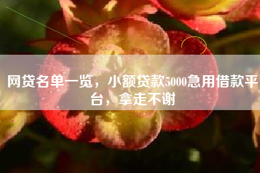 网贷名单一览，小额贷款5000急用借款平台，拿走不谢