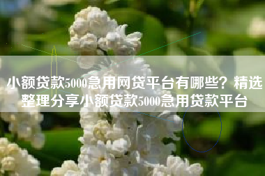 小额贷款5000急用网贷平台有哪些？精选整理分享小额贷款5000急用贷款平台