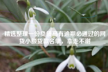 精选整理一份负债高有逾期必通过的网贷小额贷款名单，拿走不谢