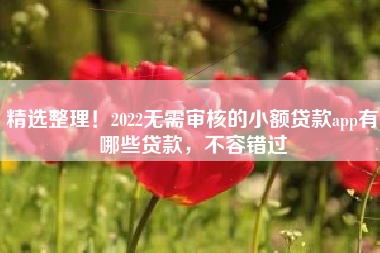 精选整理！2022无需审核的小额贷款app有哪些贷款，不容错过