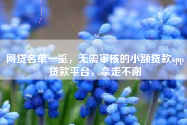 网贷名单一览，无需审核的小额贷款app贷款平台，拿走不谢