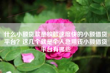 什么小额贷款是放款速度快的小额借贷平台？这几个就是个人急用钱小额借贷平台有哪些