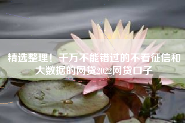 精选整理！千万不能错过的不看征信和大数据的网贷2022网贷口子