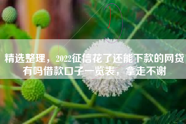 精选整理，2022征信花了还能下款的网贷有吗借款口子一览表，拿走不谢