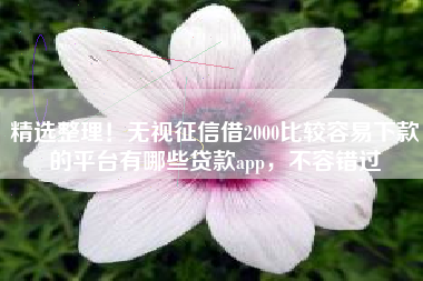 精选整理！无视征信借2000比较容易下款的平台有哪些贷款app，不容错过