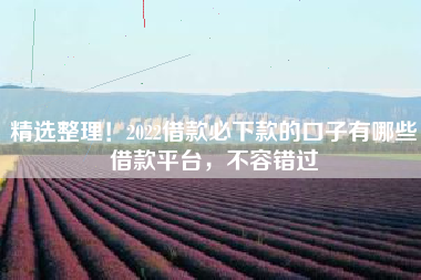 精选整理！2022借款必下款的口子有哪些借款平台，不容错过