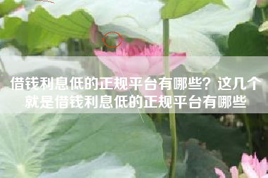 借钱利息低的正规平台有哪些？这几个就是借钱利息低的正规平台有哪些