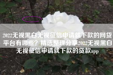 2022无视黑白无视征信申请就下款的网贷平台有哪些？精选整理分享2022无视黑白无视征信申请就下款的贷款app