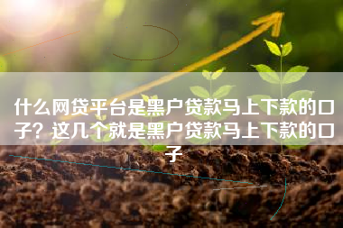 什么网贷平台是黑户贷款马上下款的口子？这几个就是黑户贷款马上下款的口子