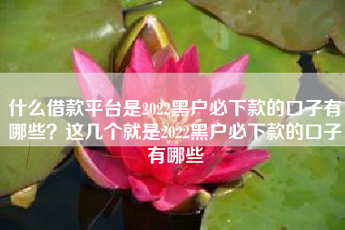 什么借款平台是2022黑户必下款的口子有哪些？这几个就是2022黑户必下款的口子有哪些