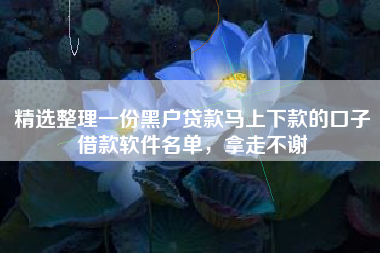 精选整理一份黑户贷款马上下款的口子借款软件名单，拿走不谢
