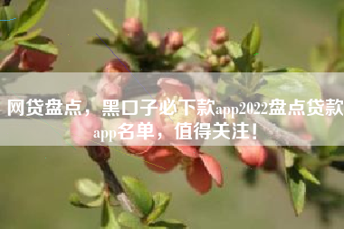 网贷盘点，黑口子必下款app2022盘点贷款app名单，值得关注！