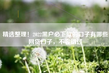 精选整理！2022黑户必下款的口子有哪些网贷口子，不容错过