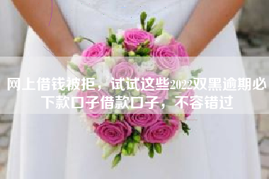 网上借钱被拒，试试这些2022双黑逾期必下款口子借款口子，不容错过