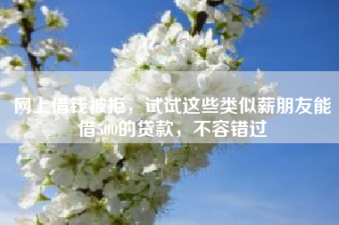 网上借钱被拒，试试这些类似薪朋友能借500的贷款，不容错过