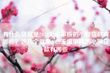 有什么贷款是2022无需审核的小额贷款有哪些？这几个就是2022无需审核的小额贷款有哪些