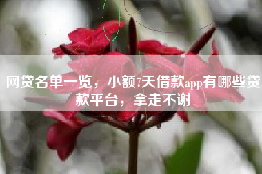 网贷名单一览，小额7天借款app有哪些贷款平台，拿走不谢