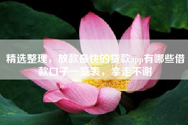 精选整理，放款最快的贷款app有哪些借款口子一览表，拿走不谢