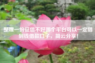 整理一份征信不好哪个平台可以一定借到钱借款口子，简云分享！