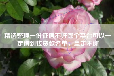 精选整理一份征信不好哪个平台可以一定借到钱贷款名单，拿走不谢